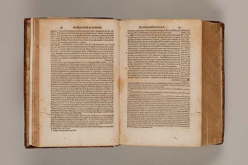 La practique judiciaire, tant civile que criminelle, receue et observee par tout le royaume de France / composee par M. Jean Imbert.