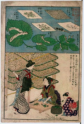 資料