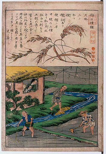 資料