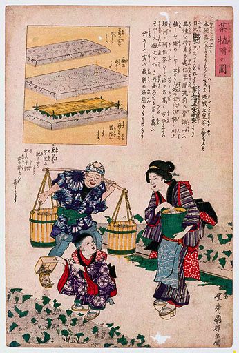 資料