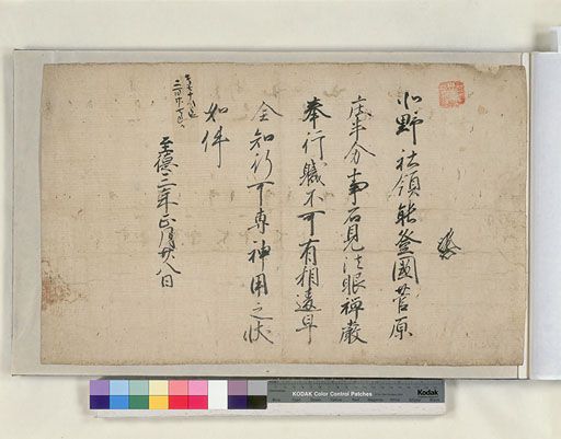 資料